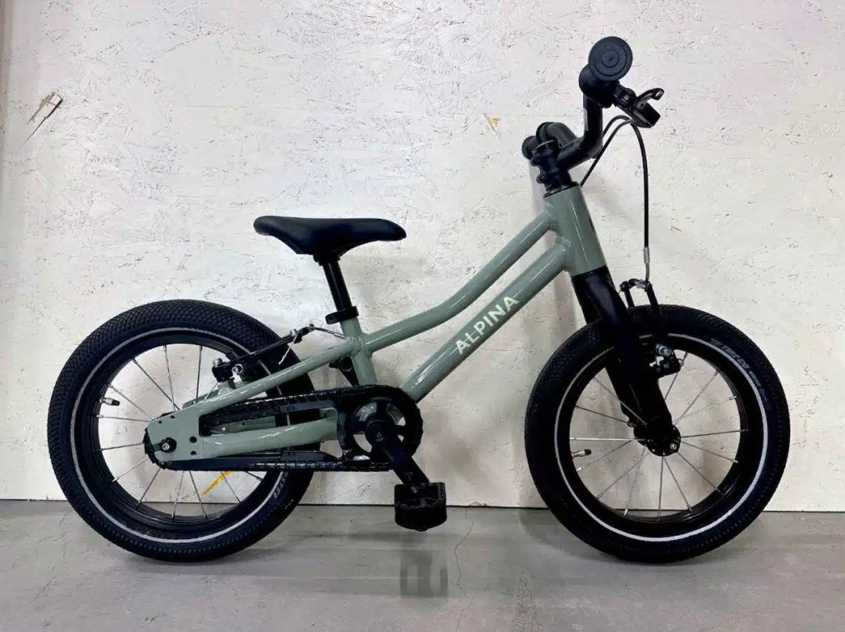 Zoof 20 Grey Green Gloss
