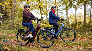 Batavus fietsen