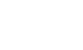 Gazelle fietsen